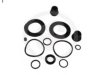 AUTOFREN SEINSA D4471 Repair Kit, brake caliper